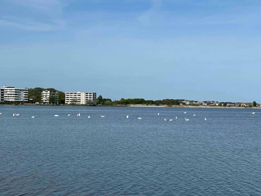 Seaview, Beach, Sunsets, Nature Heiligenhafen Esterno foto